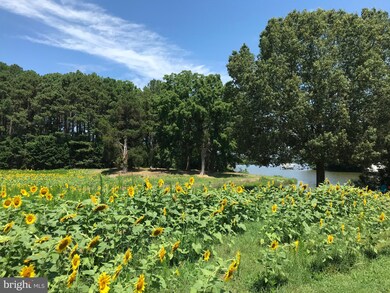 0 Baildon Rd, 3, Trappe, MD 21673 - photo 4