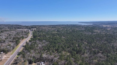 0 P unit 4 - Tbd Us 190, Point Blank, TX 77364 - photo 5