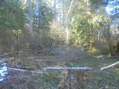 8000 Center Rd, Quilcene, WA 98376 - photo 2