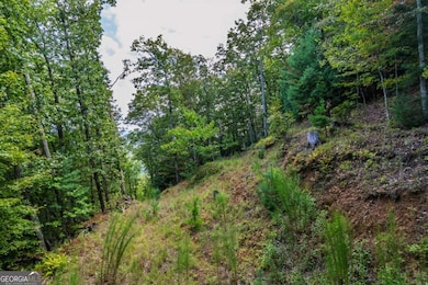 0 Dusty Danno Trail unit 25,27 10601098, Mineral Bluff, GA 30559 - photo 7