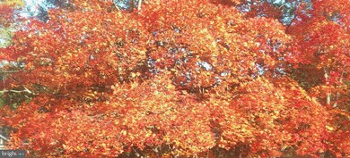 2116 Reynolds St, Falls Church, VA 22043 - photo 2