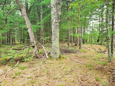 00 Parkside Ave, Yates Township, MI 49642 - photo 7