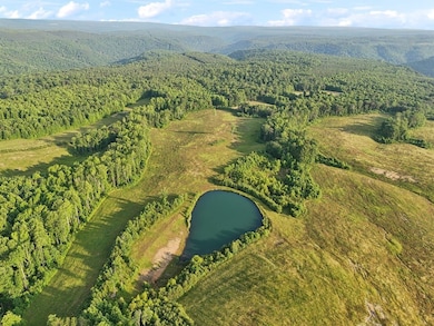 0 Fletcher Rd unit 23449177, Gruetli Laager, TN 37339 - photo 3