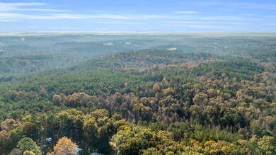 661 Cedar Tree Rd, Vernon, AL 35592 - photo 4