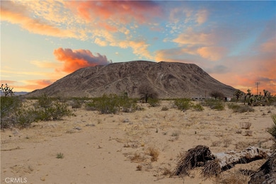 2750 Gibralter Rd, Landers, CA 92285 - photo 6