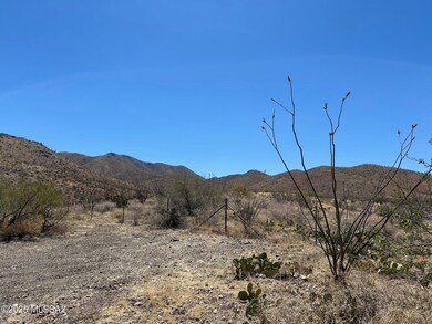 IMG_6429