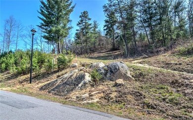 75 Magnolia Farms Dr unit 14, Asheville, NC 28806 - photo 4