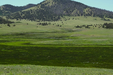 State Highway 9, Guffey, CO 80820 - photo 3