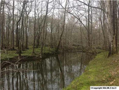 ANOTHER VIEW OF THE RIVER!