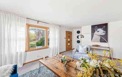 1008 Manchester Ave, Westchester, IL 60154 - photo 7