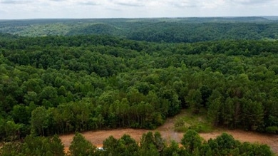 0 Old Mail Rd unit 24835045, Duck River, TN 38454 - photo 2