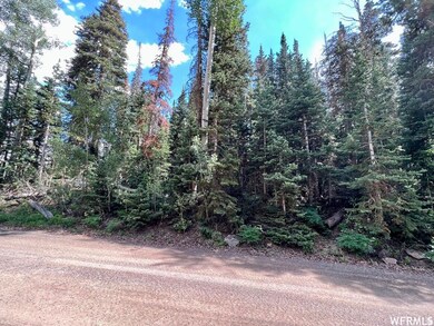 321 W Spruce St unit 4, Brian Head, UT 84719 - photo 5