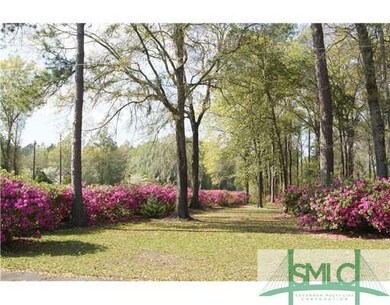 Yard/Garden.