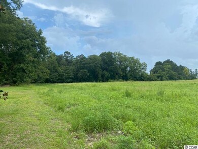 Lot 3A Antioch Rd, Conway, SC 29527 - photo 3