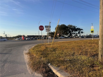 245 S Brevard Ave, Arcadia, FL 34266 - photo 3