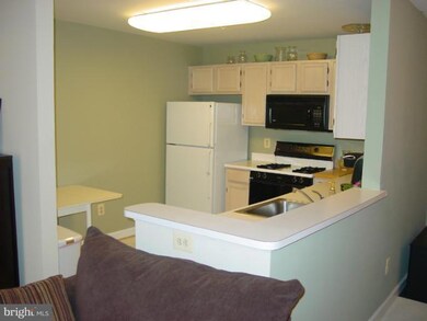 2322 Falls Gable Ln unit E, Baltimore, MD 21209 - photo 5