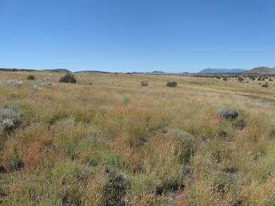 17-040 Alpine Ranch, Flagstaff, AZ 86004 - photo 4