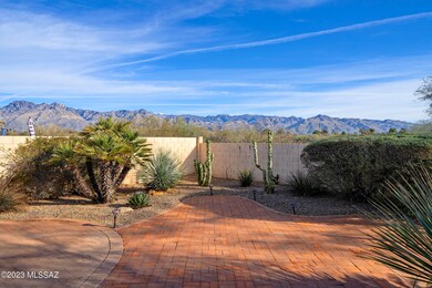 View from Back Yard