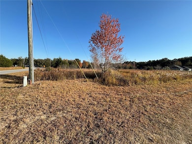 0 0 Sw 32nd Place, Ocala, FL 34481 - photo 4