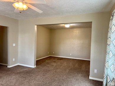 294 S 300 W, Delta, UT 84624 - photo 4