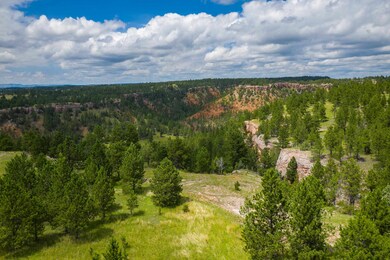26865 Stage Stop Rd unit Pronghorn 5- Canyon, Custer, SD 57730 - photo 6