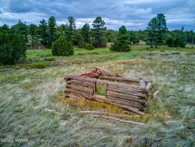 paxmanphoto_DJI_0592 (Large)