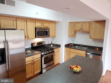 The Aurora Condominiums unit 416, Silver Spring, MD 20910 - photo 4