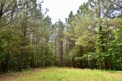 0 Nickelsville Rd NW unit 20148653, Resaca, GA 30735 - photo 7