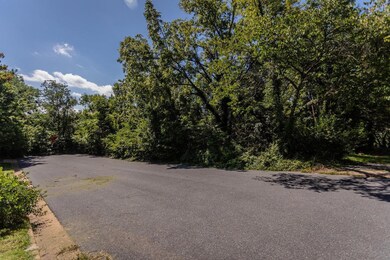 321 W View St, Harrisonburg, VA 22801 - photo 2