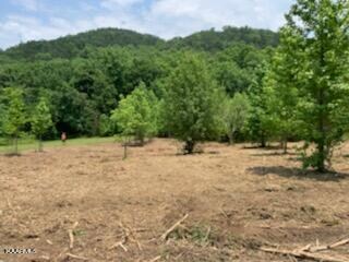 18653688640_18653664796_5_1642693519681