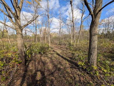 PXL_20251023_171142502