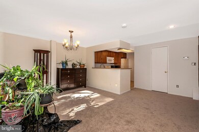 20217 Grazing Way, Montgomery Village, MD 20886 - photo 5