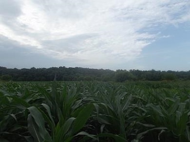 51+/- Acres Cth 0 Rd, Mineral Point, WI 53565 - photo 3