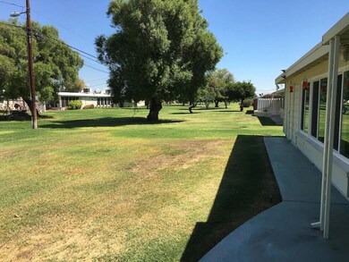 10838 Peoria Backyard