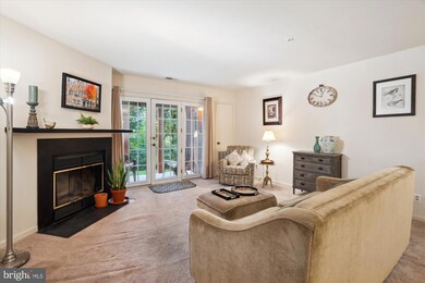 4924 Columbia Rd unit 3, Columbia, MD 21044 - photo 7