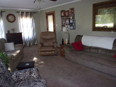 7337 Union St, Adrian, MI 49221 - photo 5