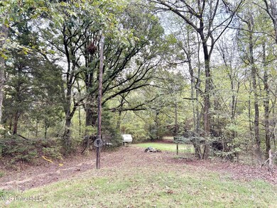 5317 Highway 3, Sarah, MS 38665 - photo 5
