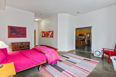 Metro Lofts unit 1, Saint Paul, MN 55114 - photo 7