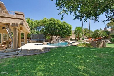 Backyard_1465