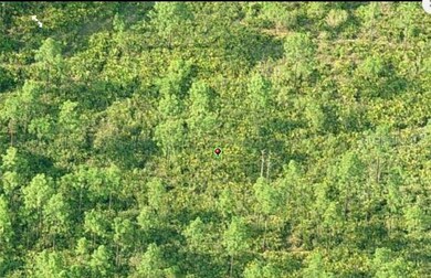 0 Dill Rd unit MFRO6231990, Orlando, FL 32820 - photo 3