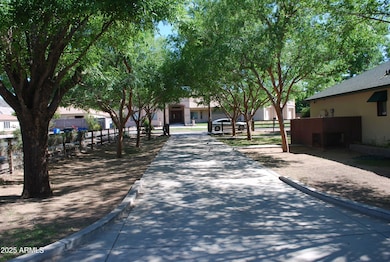 1420 E Branham Ln, Phoenix, AZ 85042 - photo 3