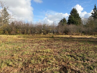 TL#2400 Alderbrook Rd, Tillamook, OR 97141 - photo 5