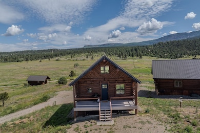 44501 N Hwy 160, Mancos, CO 81328 - photo 4
