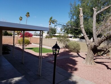 32nd backyard 1