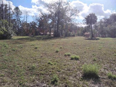 718 Shadeville Rd, Crawfordville, FL 32327 - photo 3