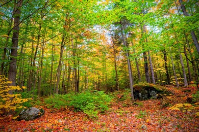 5 Imp Trail, Gorham, NH 03581 - photo 3