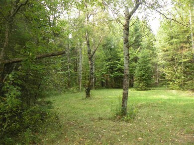 0 Route 3 N unit 4828785, Carroll, NH 03598 - photo 2