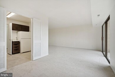 3100 S Manchester St unit 824, Falls Church, VA 22044 - photo 5