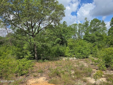 Lot 7 Caldwell Place, Chipley, FL 32428 - photo 2