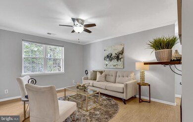 2661 S Walter Reed Dr unit B, Arlington, VA 22206 - photo 4